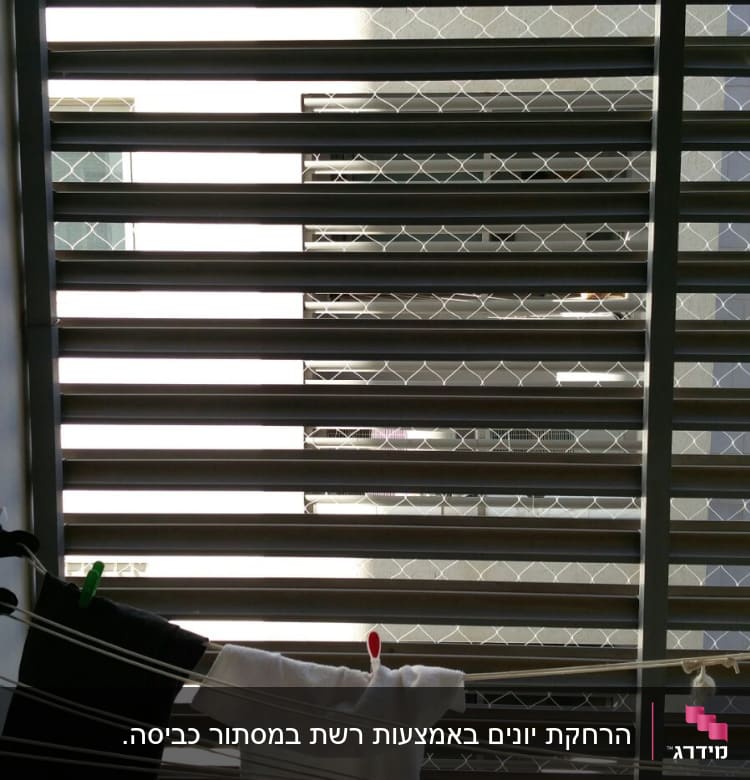 חבלי כביסה עם בגדים מול תריסים ורשת